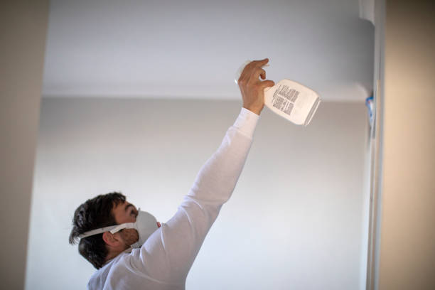 Best Mold Remediation  in Morrow, OH